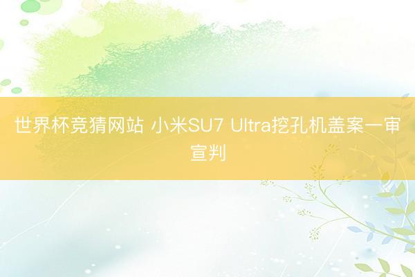 世界杯竞猜网站 小米SU7 Ultra挖孔机盖案一审宣判