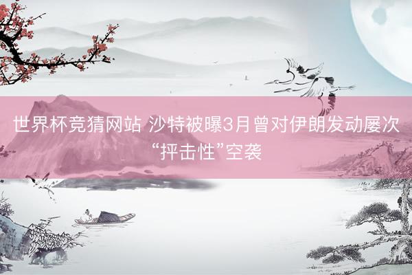 世界杯竞猜网站 沙特被曝3月曾对伊朗发动屡次“抨击性”空袭
