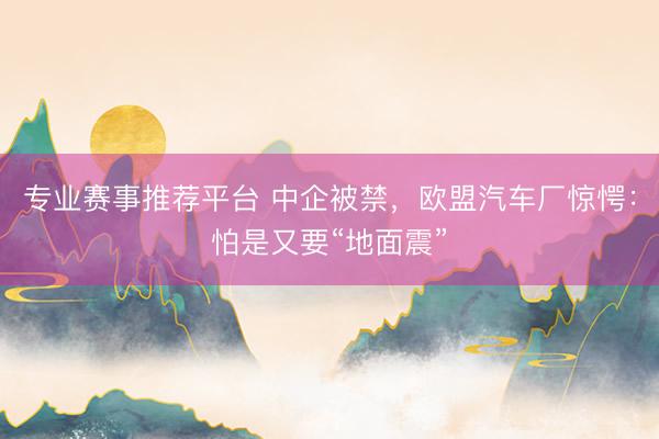 专业赛事推荐平台 中企被禁，欧盟汽车厂惊愕：怕是又要“地面震”