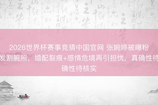 2026世界杯赛事竞猜中国官网 张婉婷被曝粉丝群发割腕照，婚配裂痕+感情危境再引担忧，真确性待核实