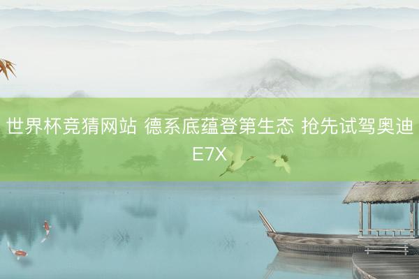 世界杯竞猜网站 德系底蕴登第生态 抢先试驾奥迪E7X
