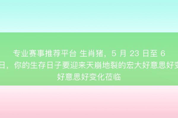 专业赛事推荐平台 生肖猪，5 月 23 日至 6 月 11 日，你的生存日子要迎来天崩地裂的宏大好意思好变化莅临