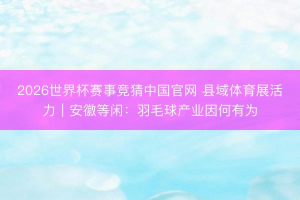 2026世界杯赛事竞猜中国官网 县域体育展活力｜安徽等闲：羽毛球产业因何有为